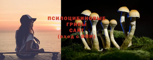 спиды Алзамай