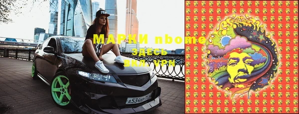 индика Алексин