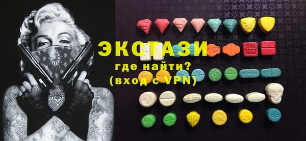 индика Алексин