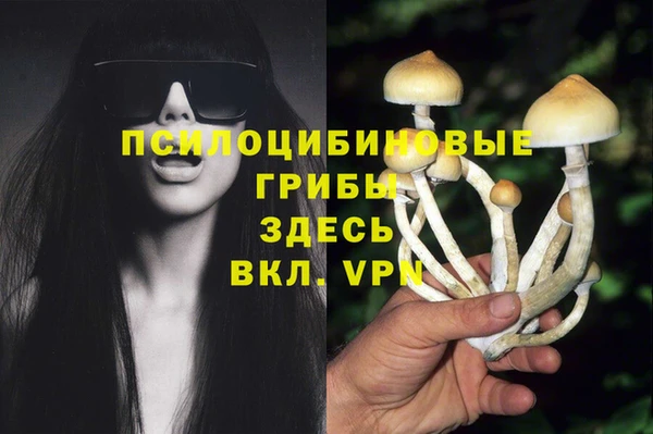 спиды Алзамай