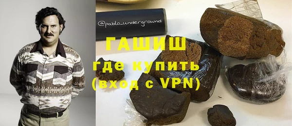 индика Алексин