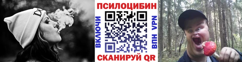 Галлюциногенные грибы Magic Shrooms Саранск