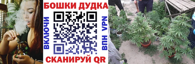 Марихуана ГИДРОПОН  Купить закладки  Саранск 